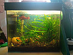 IMG 20140629 200446