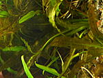 P1140584