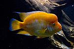 20140812 IMG 4936