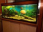 IMG 20140811 210614[1]