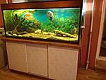 IMG 20140811 210625[1]