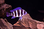 IMG 4857