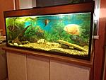 IMG 20140811 210612[1]