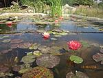 IMG 6746