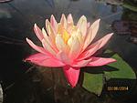 IMG 6735