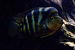 20140812 IMG 4938