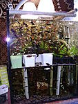 DSC05190