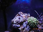 DSCN1667