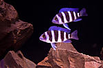 IMG 4882