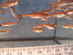 IMG 0669