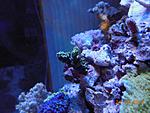 DSCN1823