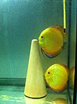 IMG 0848
