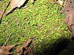 IMG 7240