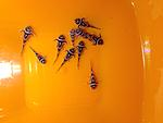 IMG 1805[1]