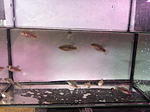 IMG 0440