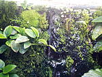 IMG 20140105 033930