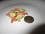 IMG 5612