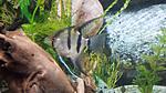 IMG 20140828 105232