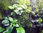 IMG 20140105 033922