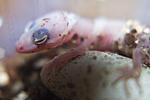 IMG 7987