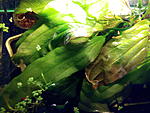 IMG 20140613 235523