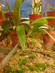 DSC00152