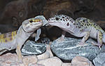 IMG 5922sm