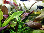 IMG 20140105 034557