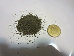 IMG 5620