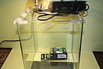 IMG 5454