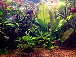 IMG 20140215 224736