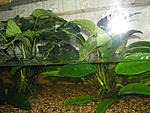 IMG 10551
