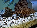 IMG 1111