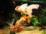 IMG 4761