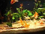 IMG 4781