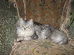 IMG 0834