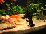 IMG 4765