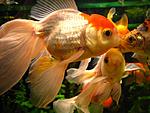IMG 4759