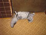 IMG 0819
