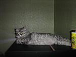 IMG 0378