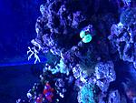 IMG 7848