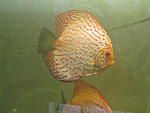 IMG 6077