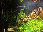 IMG 20140905 WA0003