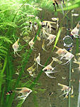DSCF4077
