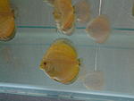 20140904 125402