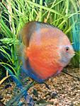 IMG 20140917 150434