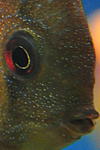 DSC 7711