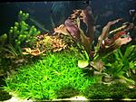 IMG 20140905 WA0000