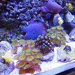 DSCN1771