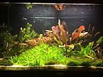 IMG 20140905 WA0002